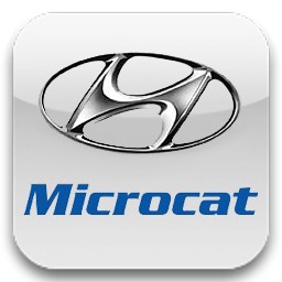Hyundai Microcat 2012