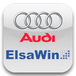 Audi ELSA
